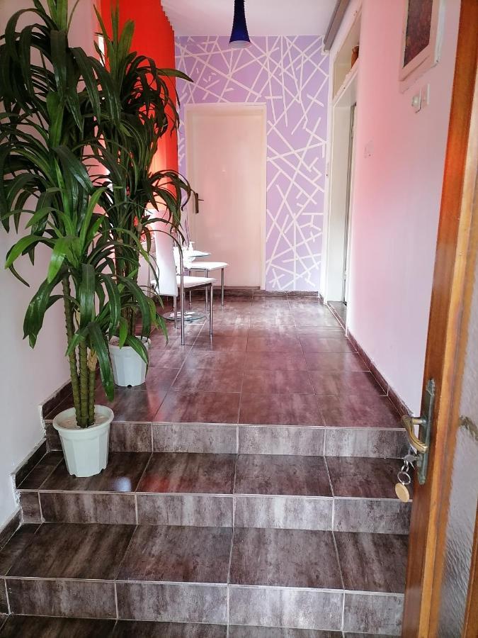 Smestaj U Okviru Domacinstva Sobe Sosa Palić Dış mekan fotoğraf