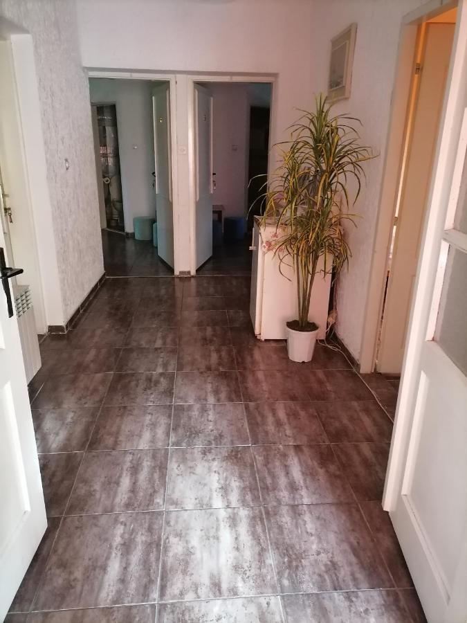 Smestaj U Okviru Domacinstva Sobe Sosa Palić Dış mekan fotoğraf